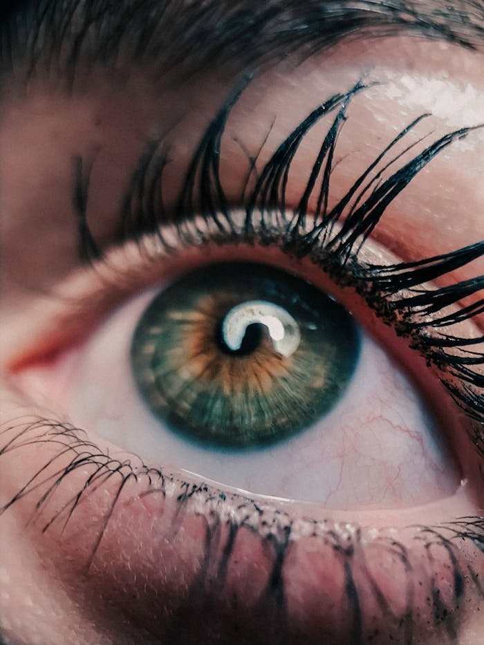 human-eye-1997393 Human Eye