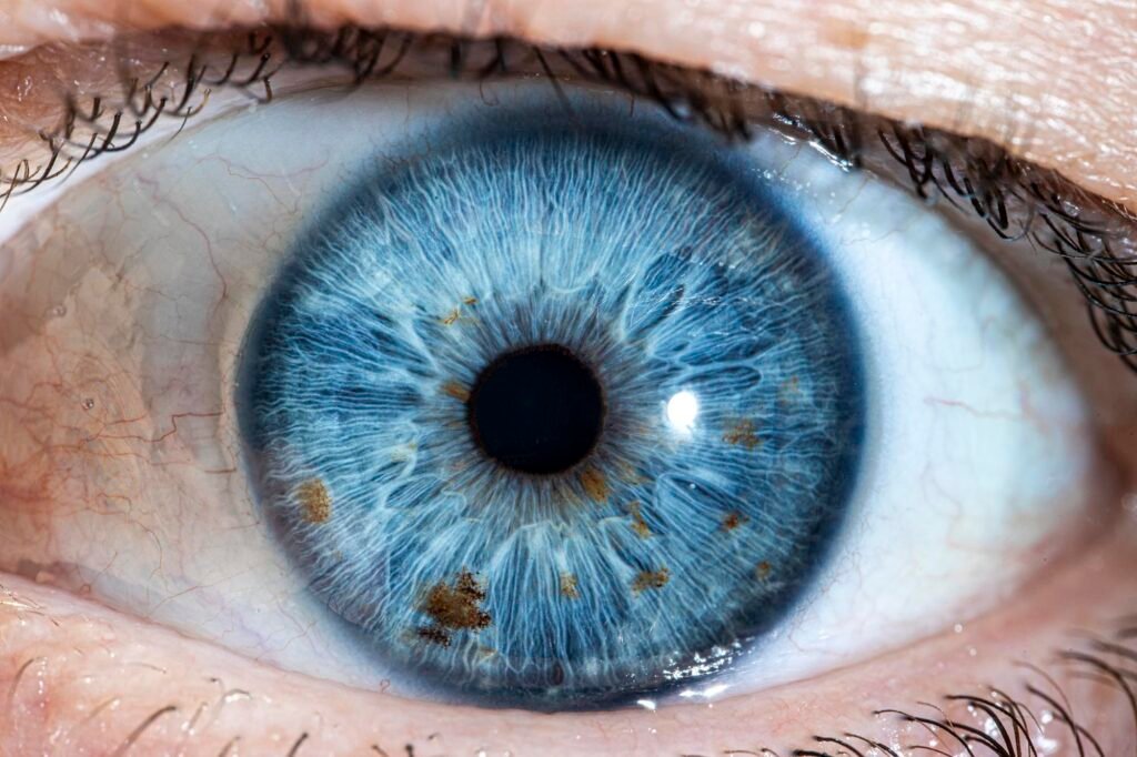 Photographir d'Iris
